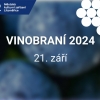 Litoměřické vinobraní 2024